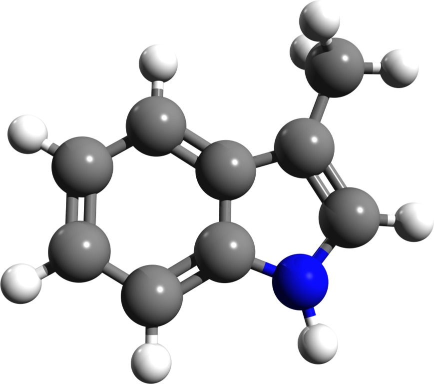 Skatole BIDCHEMZ