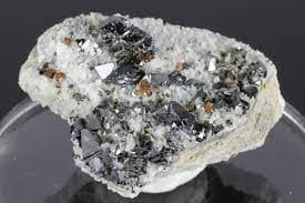 Anatese BIDCHEMZ